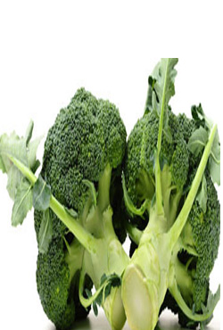 いちご - 画像 (3)