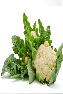 いちご - 画像 (4)