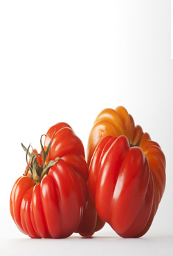 かぼちゃのようなトマト - 画像 (2)